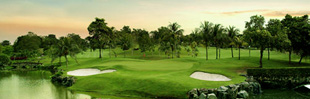 Allamanda Course