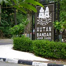 Hutan Bandar