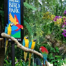 Jurong Bird Park