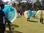 Bumble Bump Ball