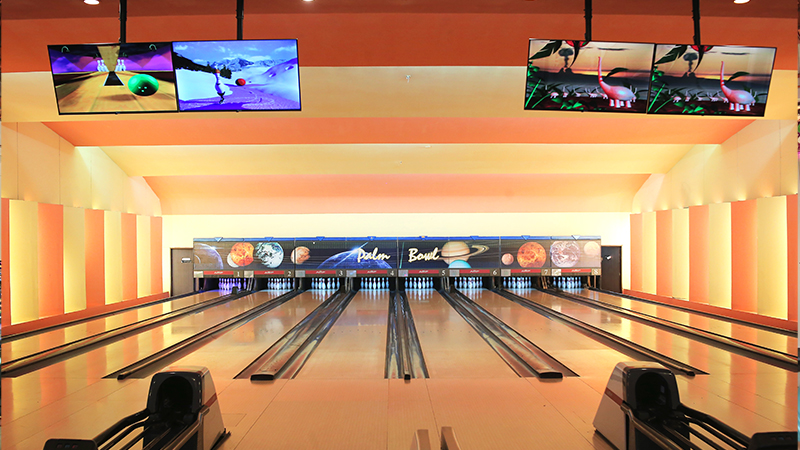 Palm Bowl