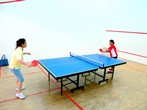 Ping Pong